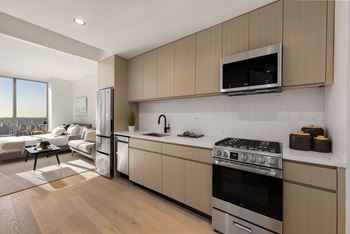 Kitchen - light wood cabinets, stainless steel franke sink with gooseneck faucet with powerclean spray technology